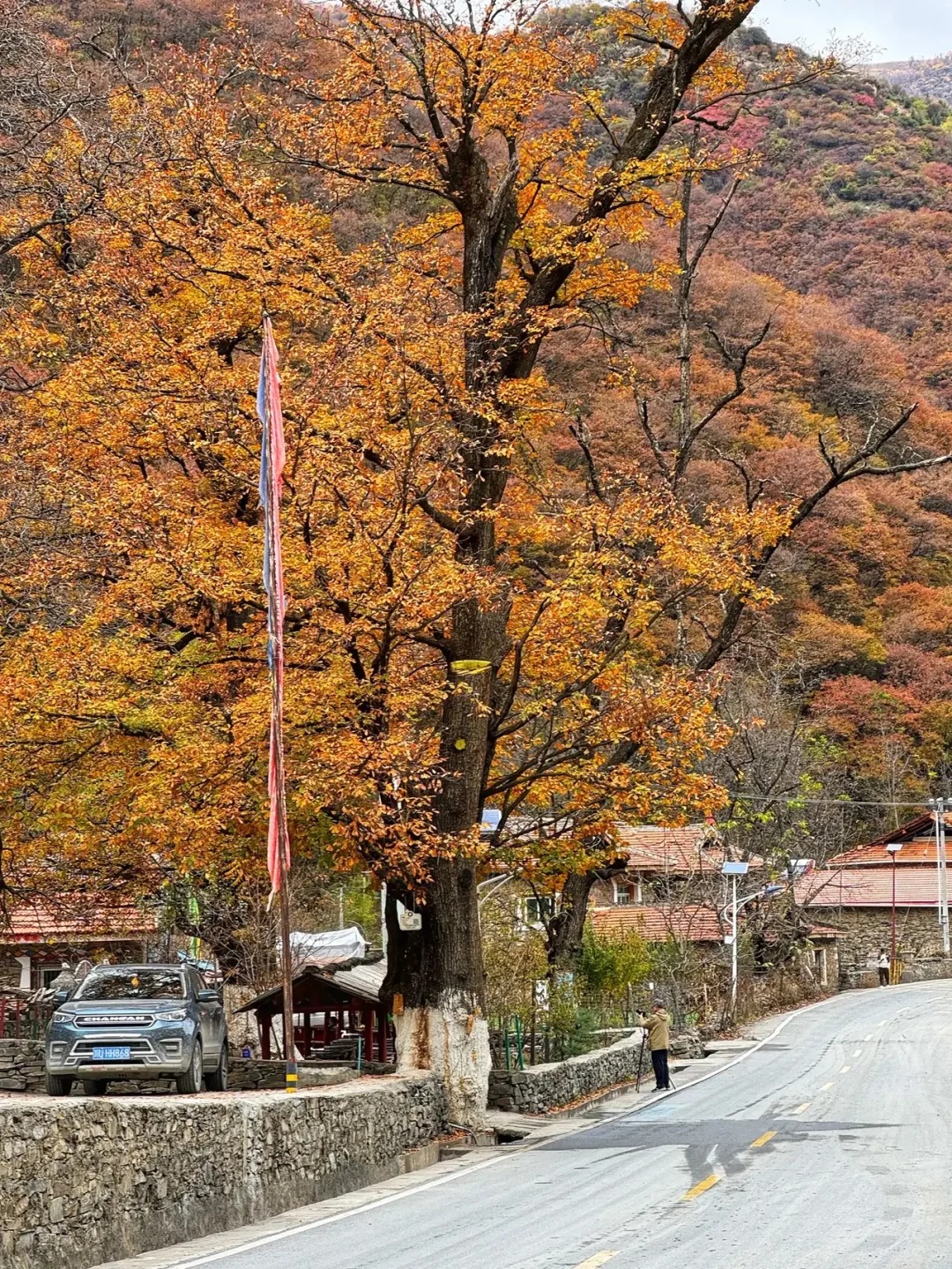 去川西，看彩林_6_annie布兜_川西黑水县-来自52tours 我爱旅游网